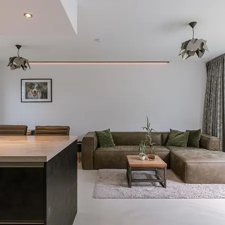 Modern With Large Terrace Antwerp
