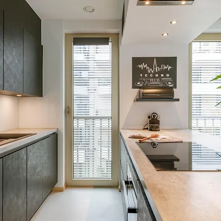 Modern With Large Terrace Apartment
